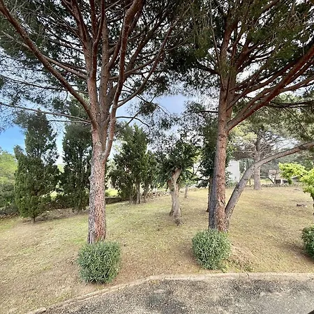1 Piece 2 Couchages L'ile-rousse Apartment *